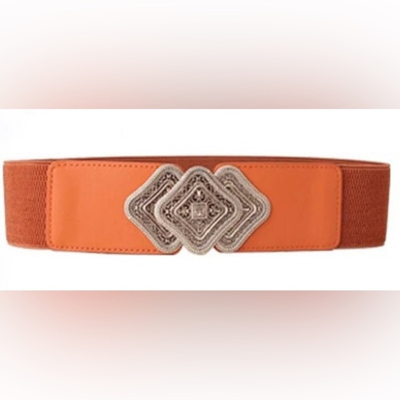 Brown Elastic Leather Gold Buckle Fashion Belt - Picture 1 of 6